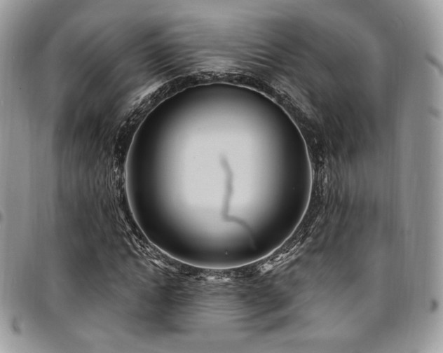 X0000095130822200712071306