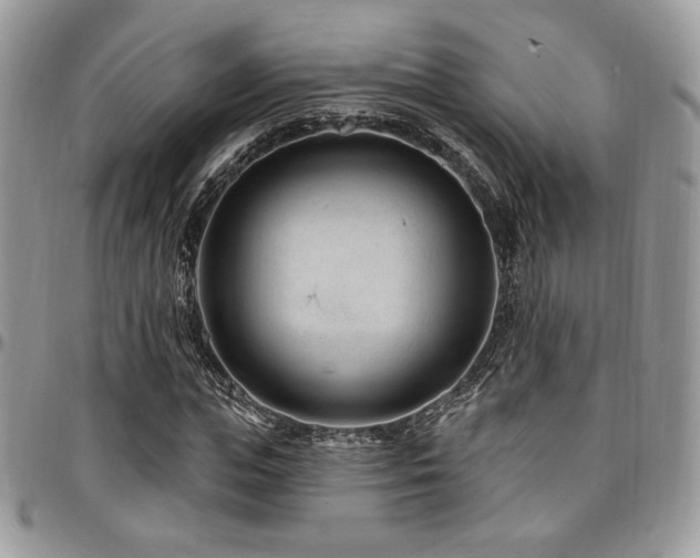 X0000095130823200712071306