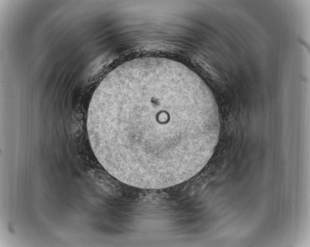 X0000095130824200712071306