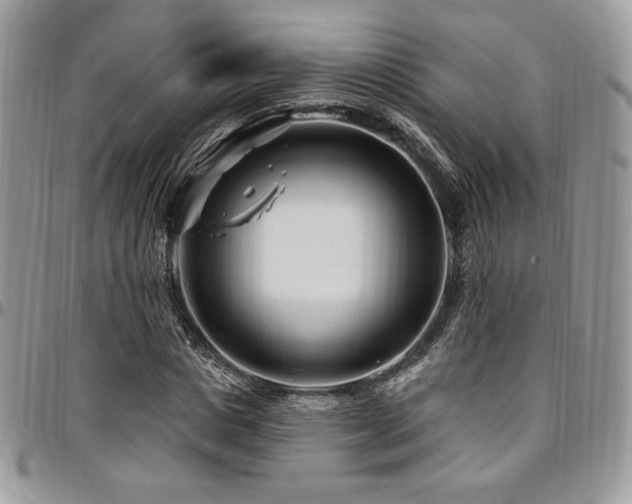 X0000095130825200712071306