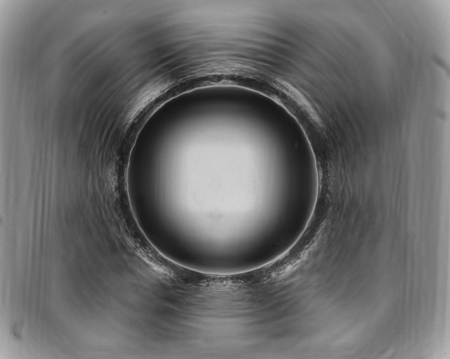 X0000095130826200712071306