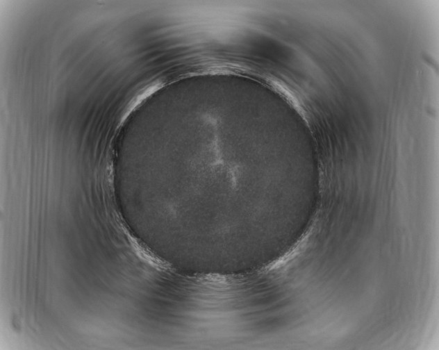 X0000095130827200712071306