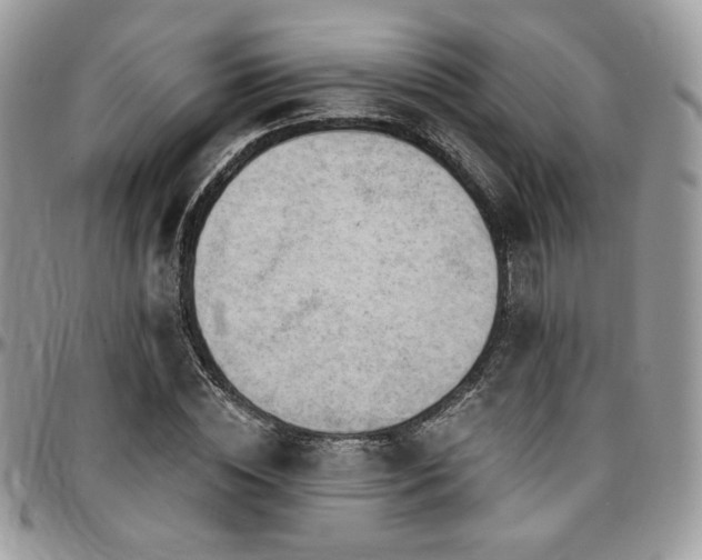 X0000095130828200712071306