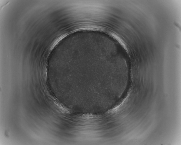 X0000095130829200712071306