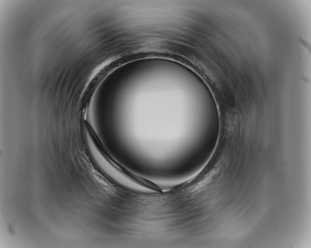 X0000095130830200712071306