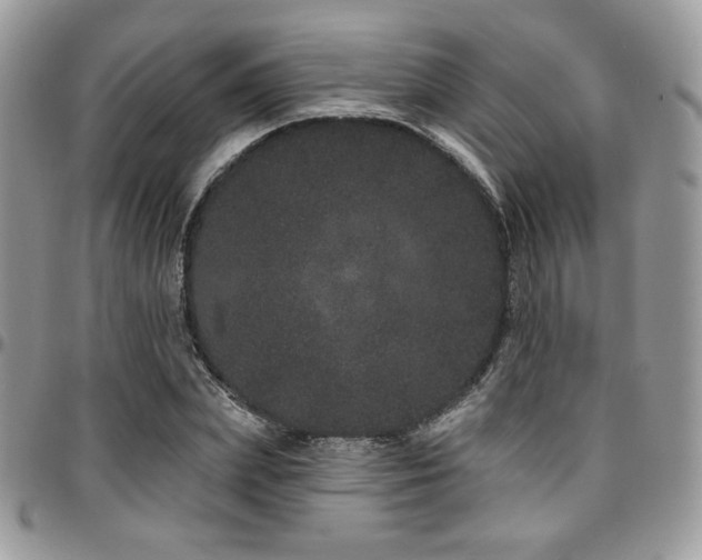 X0000095130831200712071306