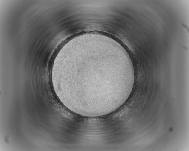 X0000095130832200712071306