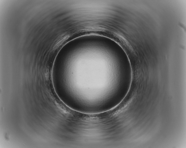 X0000095130833200712071306