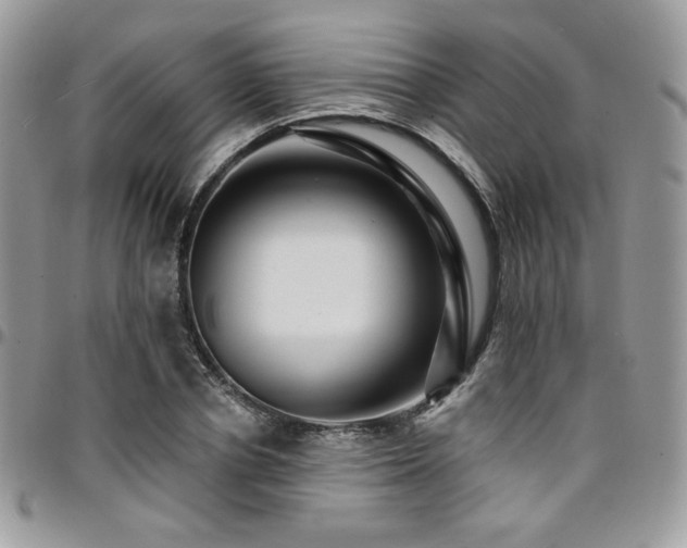 X0000095130834200712071306