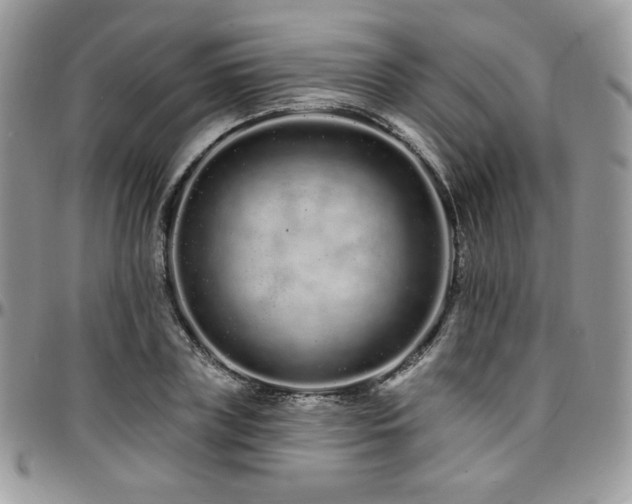 X0000095130835200712071306