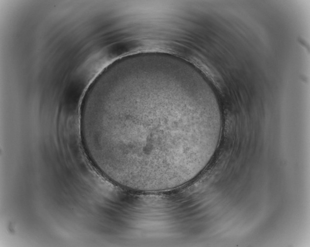 X0000095130836200712071306