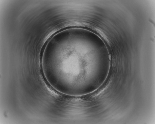 X0000095130837200712071306