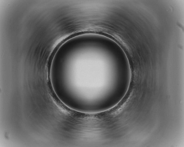 X0000095130838200712071306