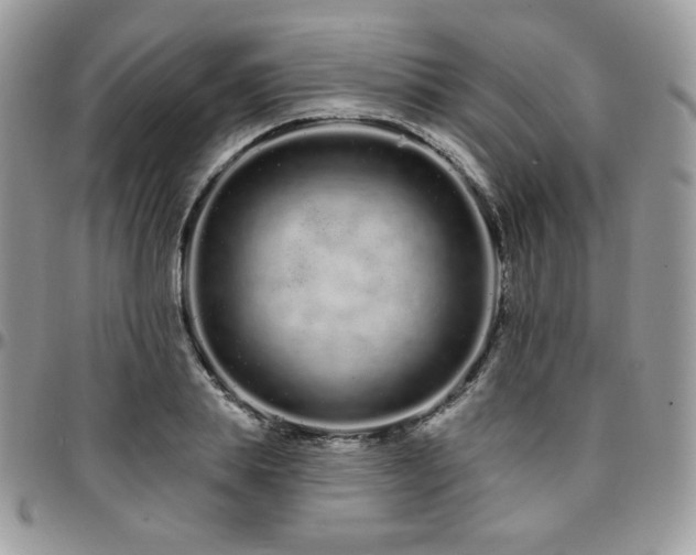 X0000095130839200712071306