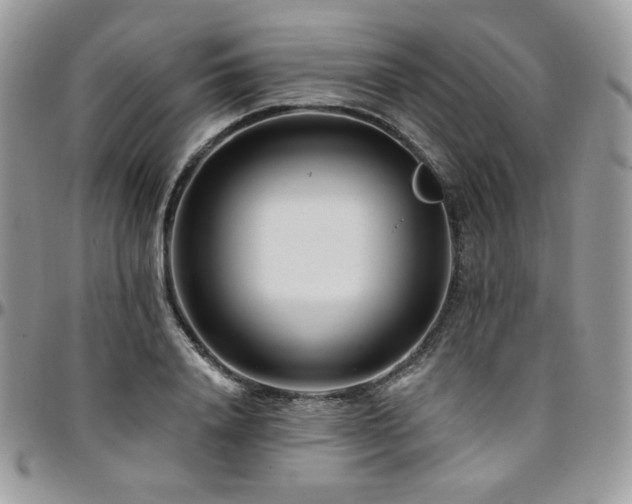 X0000095130840200712071306