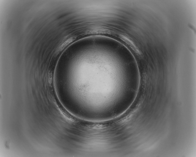 X0000095130841200712071306