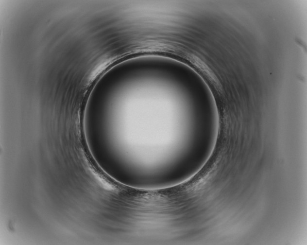 X0000095130842200712071306