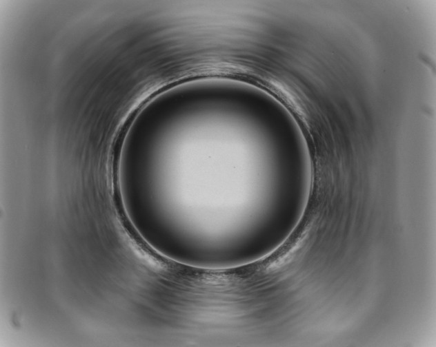 X0000095130843200712071306