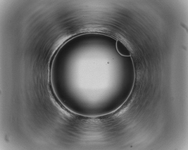 X0000095130844200712071306