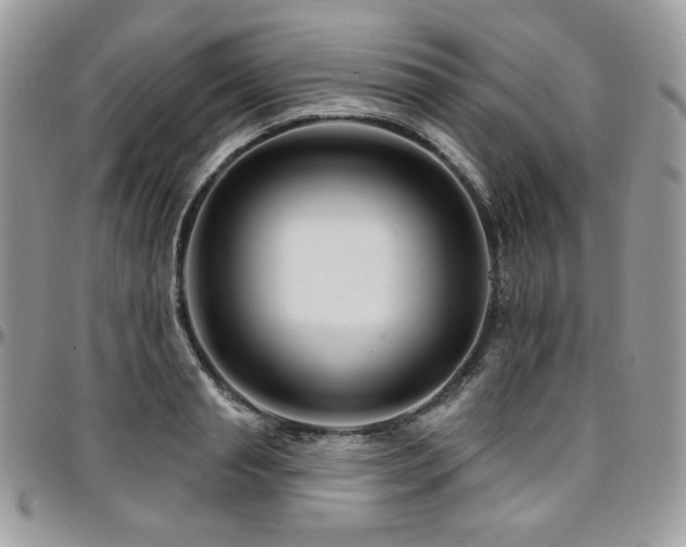 X0000095130845200712071306