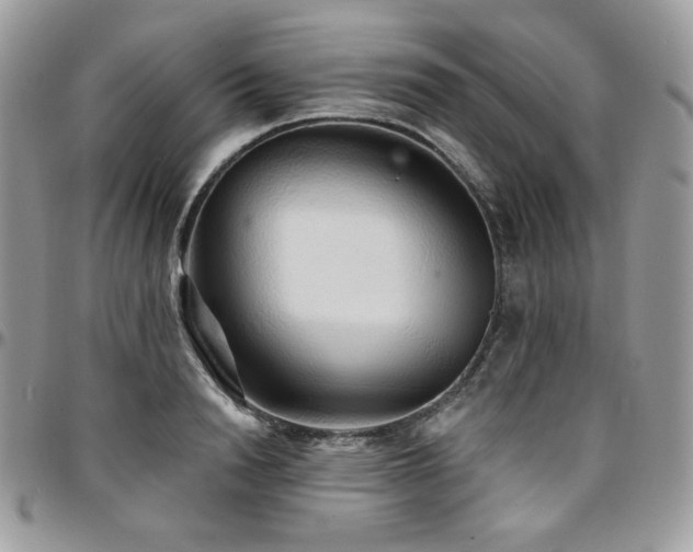 X0000095130846200712071306