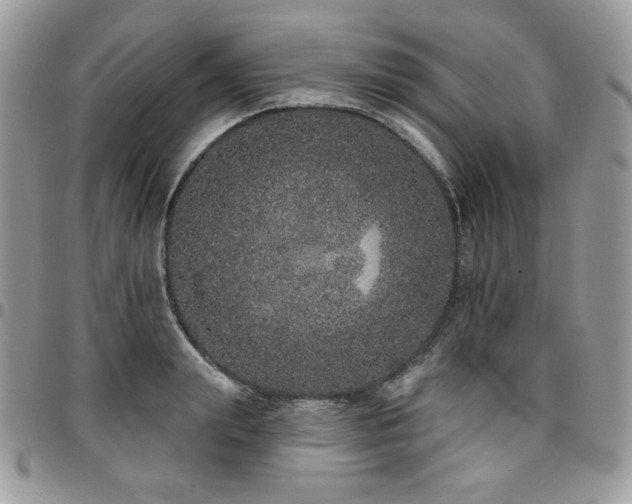 X0000095130847200712071306