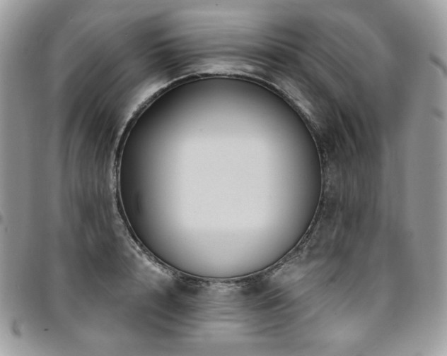 X0000095130848200712071306