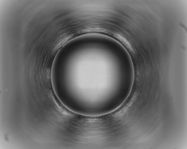 X0000095130849200712071306