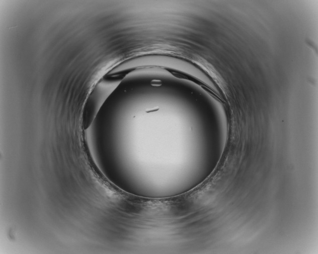 X0000095130850200712071306