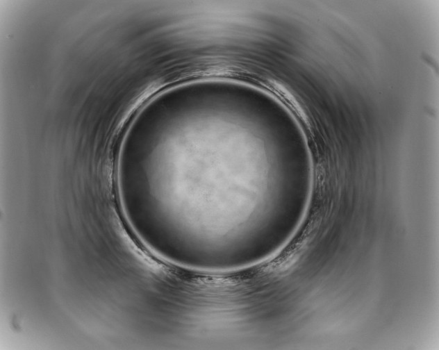 X0000095130851200712071306