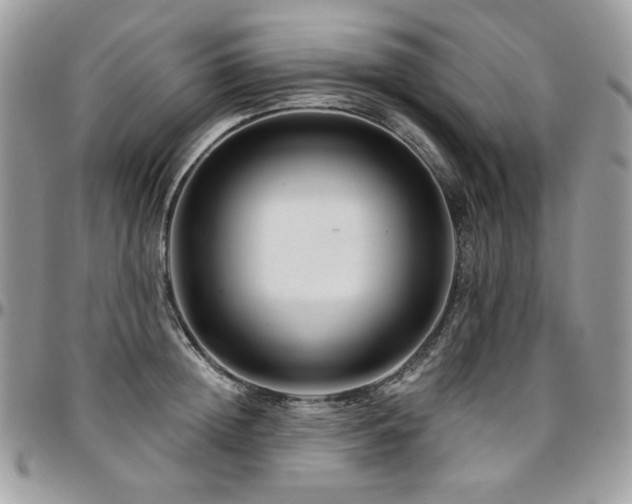 X0000095130852200712071306