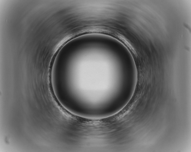 X0000095130853200712071306