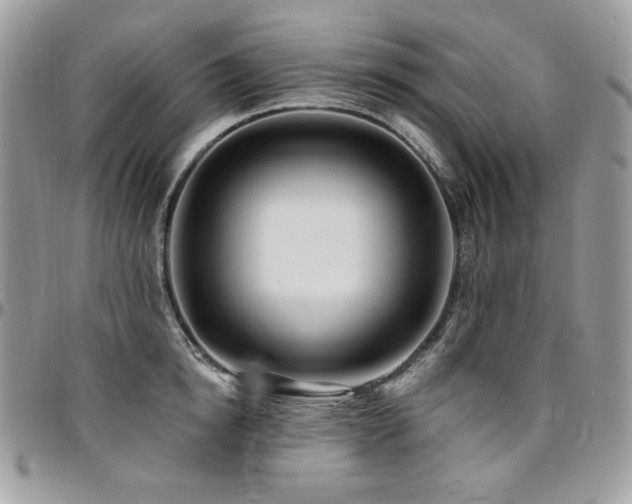 X0000095130854200712071306