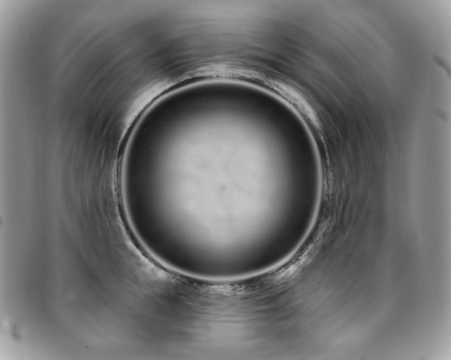 X0000095130855200712071306