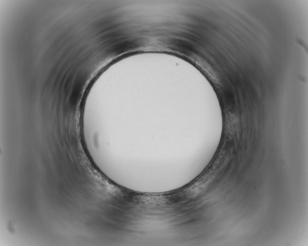 X0000095130856200712071306