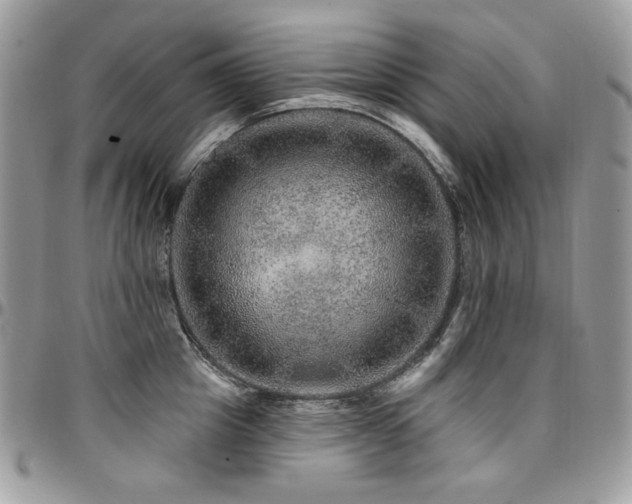 X0000095130857200712071306