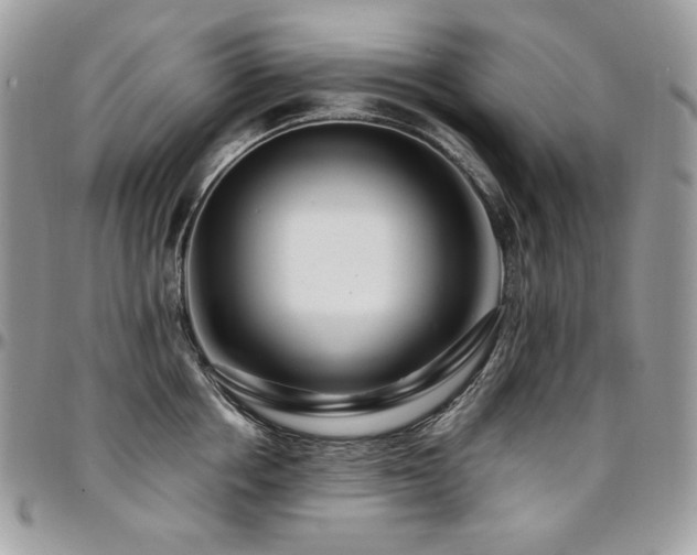 X0000095130858200712071306