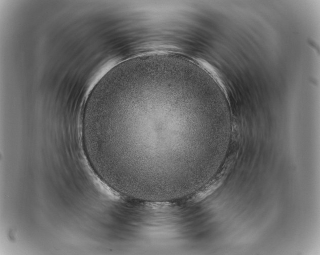 X0000095130859200712071306