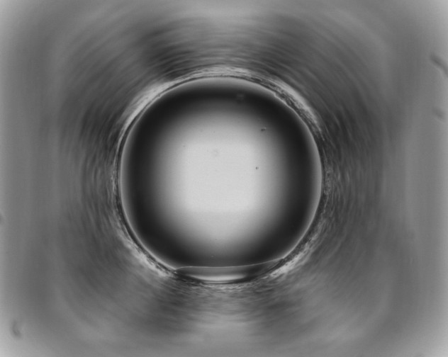 X0000095130860200712071306