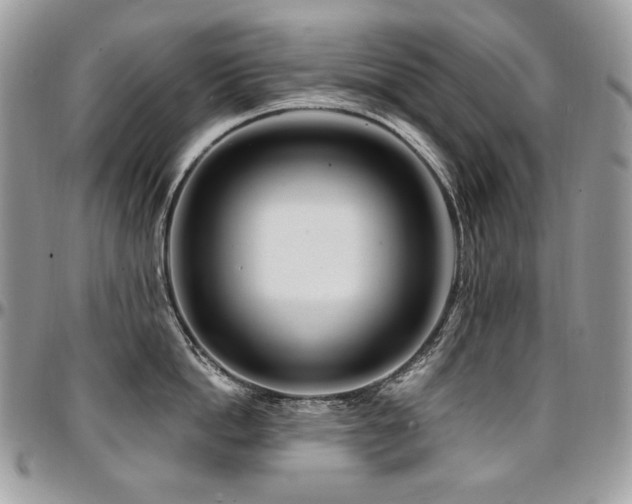 X0000095130862200712071306