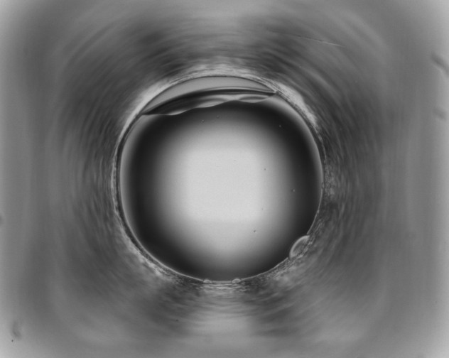 X0000095130863200712071306