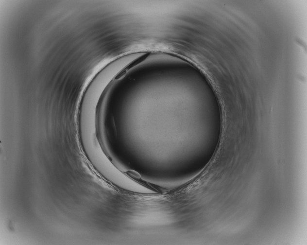 X0000095130864200712071306