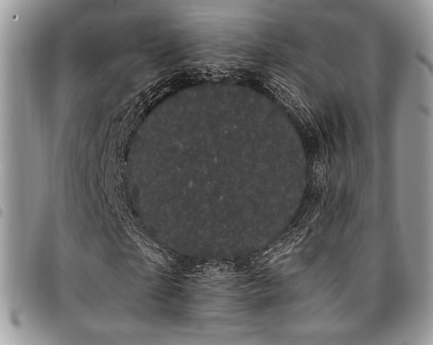 X0000095130865200712071306