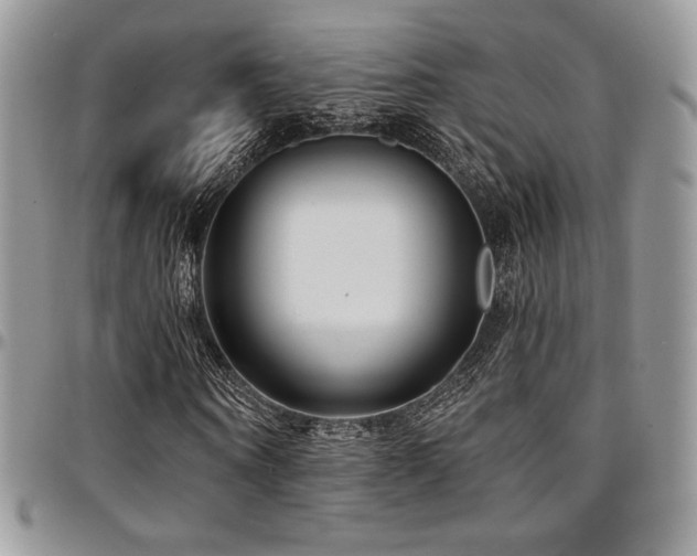 X0000095130866200712071306