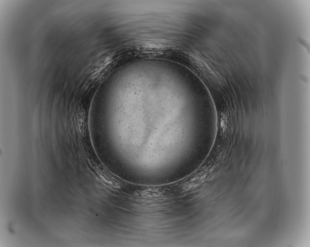 X0000095130867200712071306