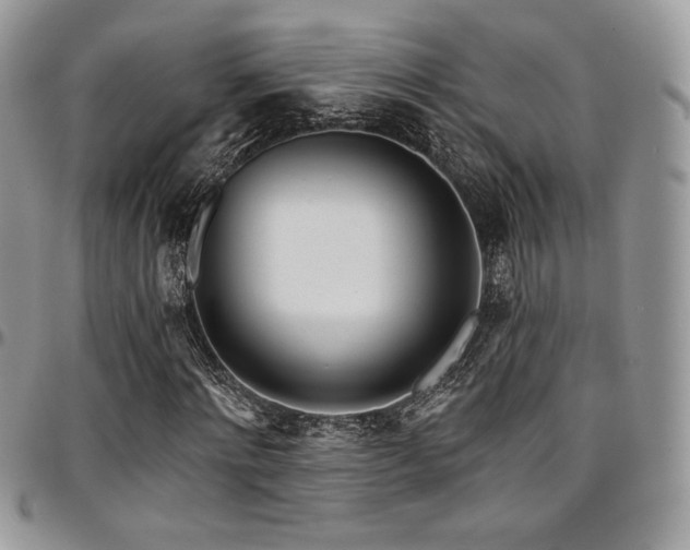 X0000095130868200712071306