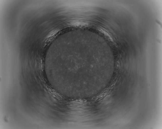 X0000095130869200712071306