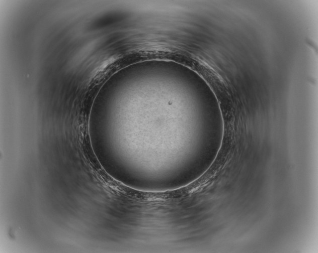 X0000095130870200712071306