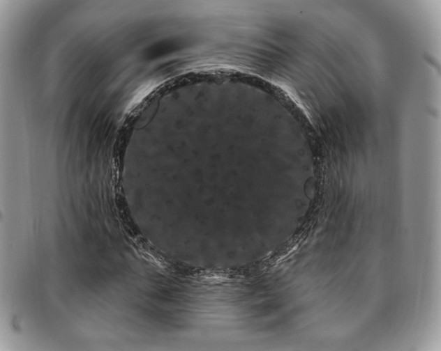 X0000095130871200712071306