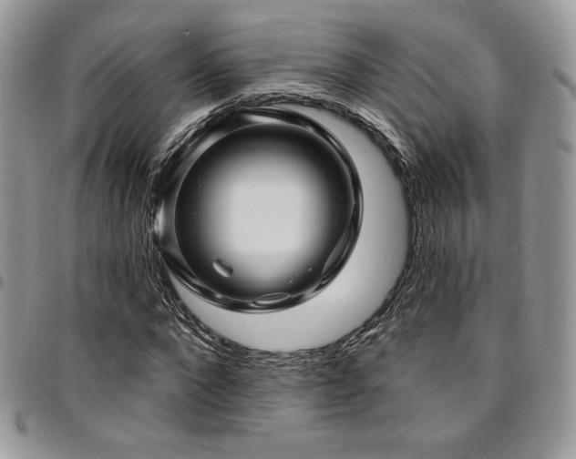 X0000095130872200712071306